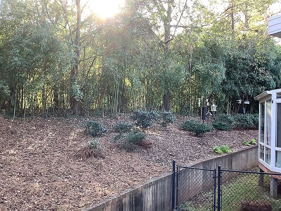Back yard 