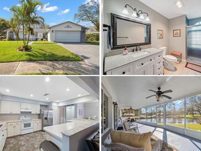 2862 Lomond Dr, Palm Harbor, FL, 34684