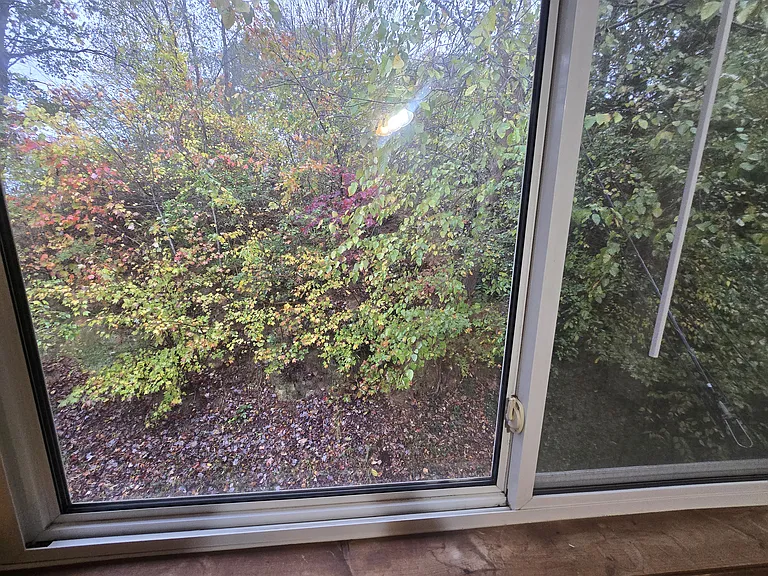 16 Padgett Rd #3 — Photo 13