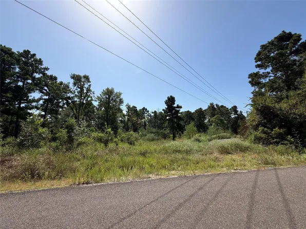 175 Hanson Rd, Onalaska, TX 77360