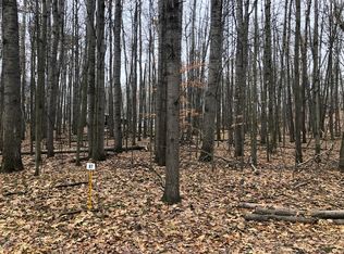 9364 Center Ln #87, Stanwood, MI