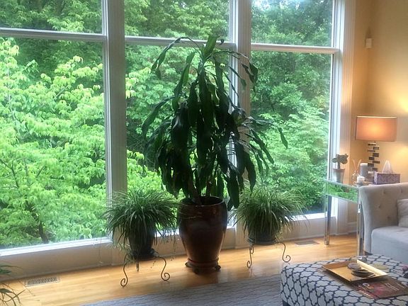 Living Room with view to Green Belt behind house