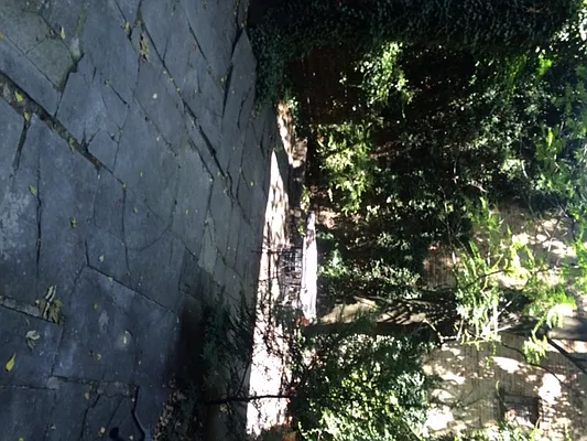 Rented by Best Apartments North Inc | media 24