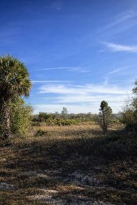 17593 NW 266th Street, Okeechobee, FL, 34972