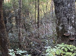 0 Knob Dr, Dillard, GA 30537