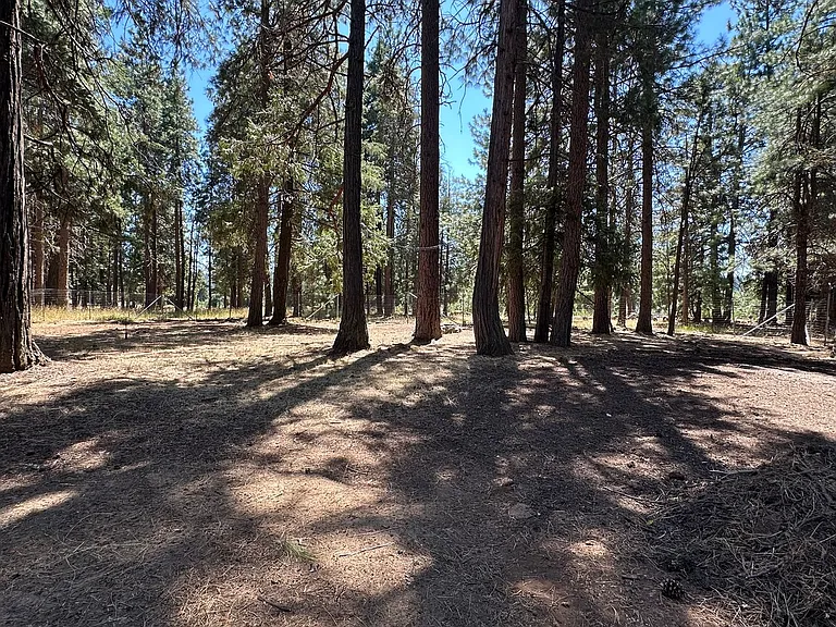 18406 Freight Road Ln — Photo 4