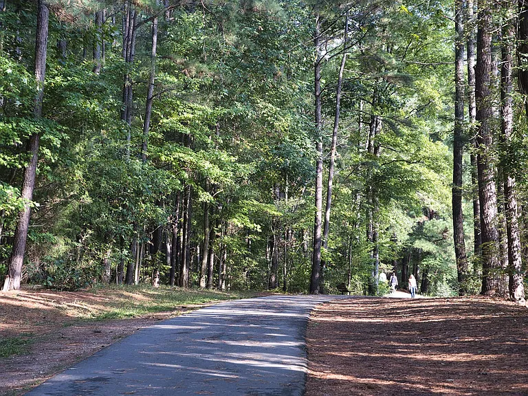Camden Lake Pine — Photo 49