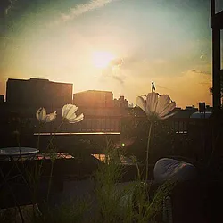 Rented by Manhattan Management LLC