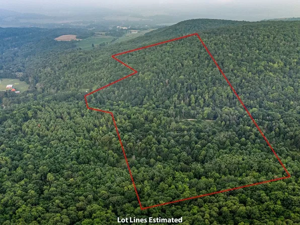 0 Ruttin Rd, Scio, NY 14880