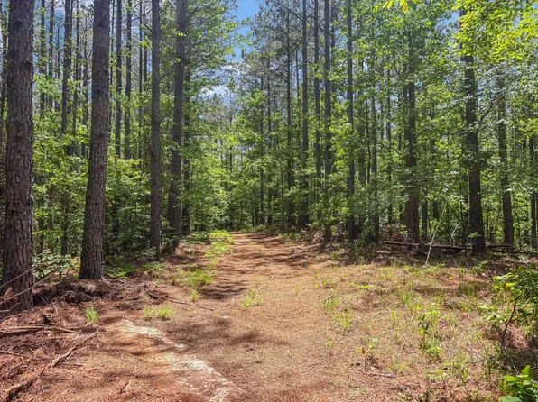 Fs #606F, Ashland, MS 38603