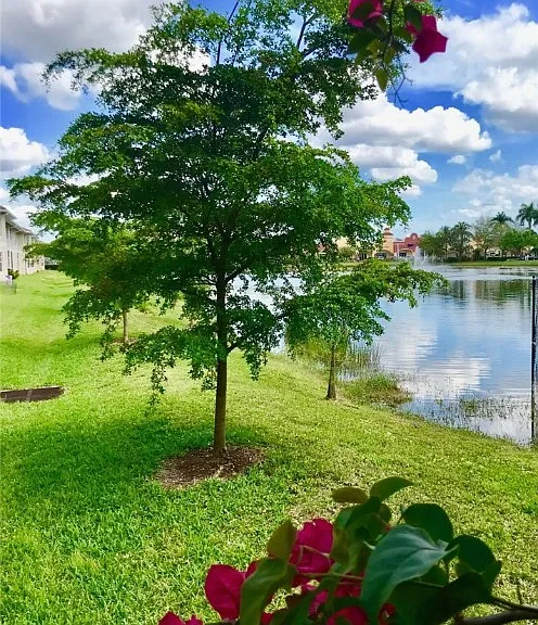8342 Bernwood Cove Loop #807 — Photo 3
