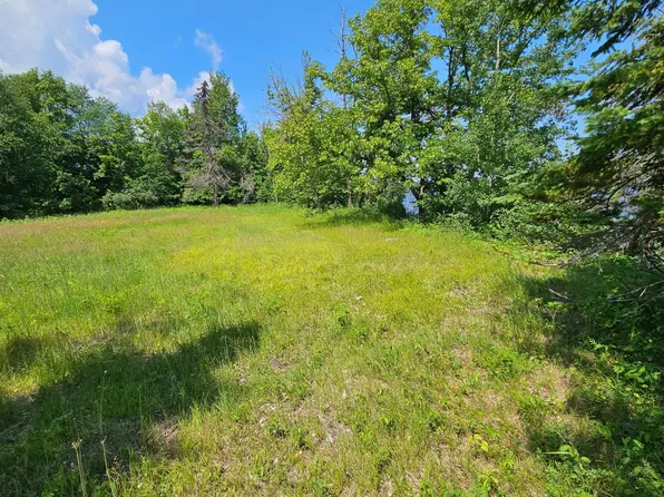 LOT 2 Hooper Creek Loop NW, Baudette, MN 56623