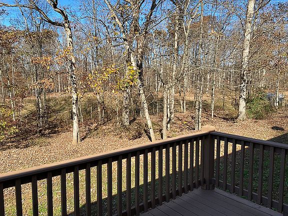 Back yard woods view