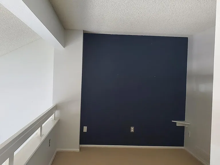 133 Blue Spruce Ct — Photo 18