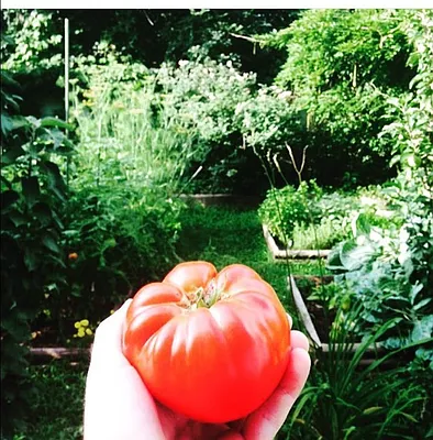 Rented by Brooklyn Heights Real Estate Inc | media 14