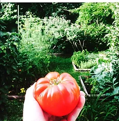 Rented by Brooklyn Heights Real Estate Inc