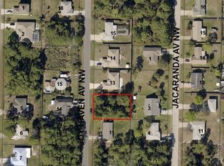 249 Joy Haven Ave NW, Palm Bay, FL 32907