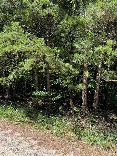 1st image of 0 Southern Pines Dr