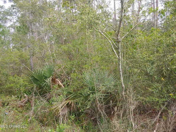LOT 4 Sage St Lot 4, Bay Saint Louis, MS 39520