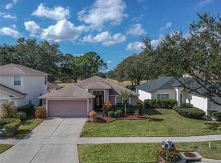 3329 Stonebridge Trl, Valrico, FL 33596