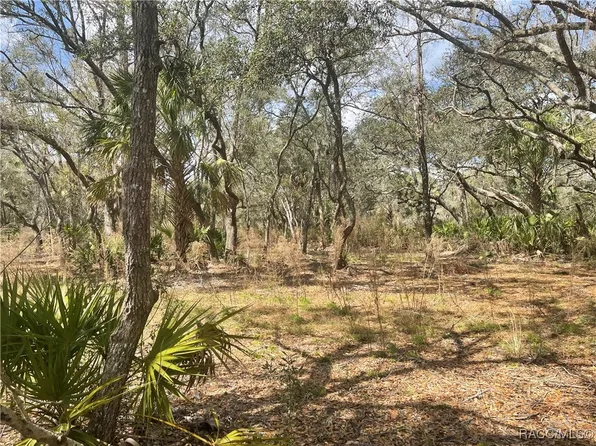 10805 W Dunnellon Rd, Crystal River, FL 34428