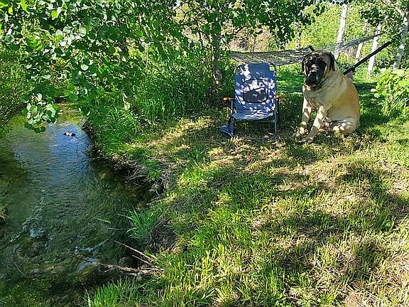 Relax...