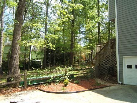 Beautiful Hardwoods in Back Yard