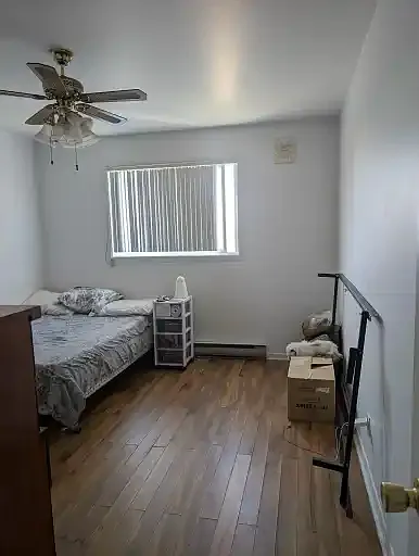 2 bed, 1.0 bath, $1,600 — Photo 2