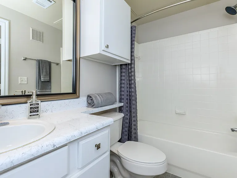 Modern Bathroom Design at The Woods of Five Mile Creek in Dallas, TX
