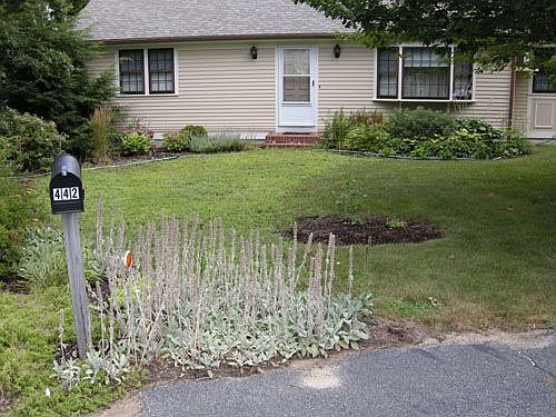 2nd image of 442 W Yarmouth Rd
