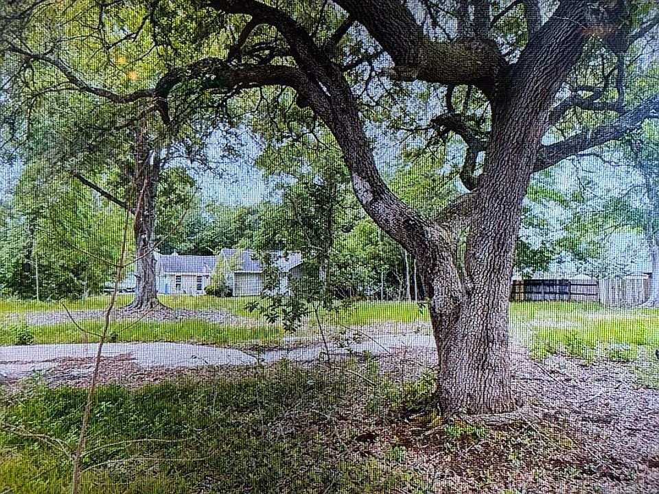 2nd image of 7314 Ahi Dr