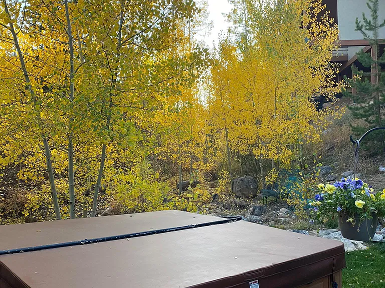 Private hot tub surrounded by mature aspens