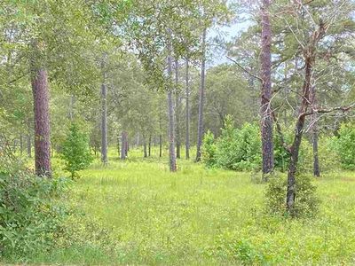 Xxx Leigh Read Rd, Tallahassee, FL, 32309