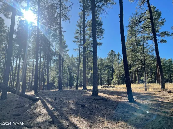 715 E County Rd #N2147, Springerville, AZ 85938
