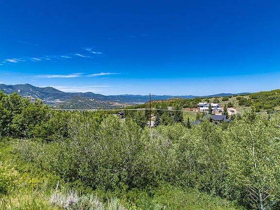 5th image of 3824 Solamere Dr