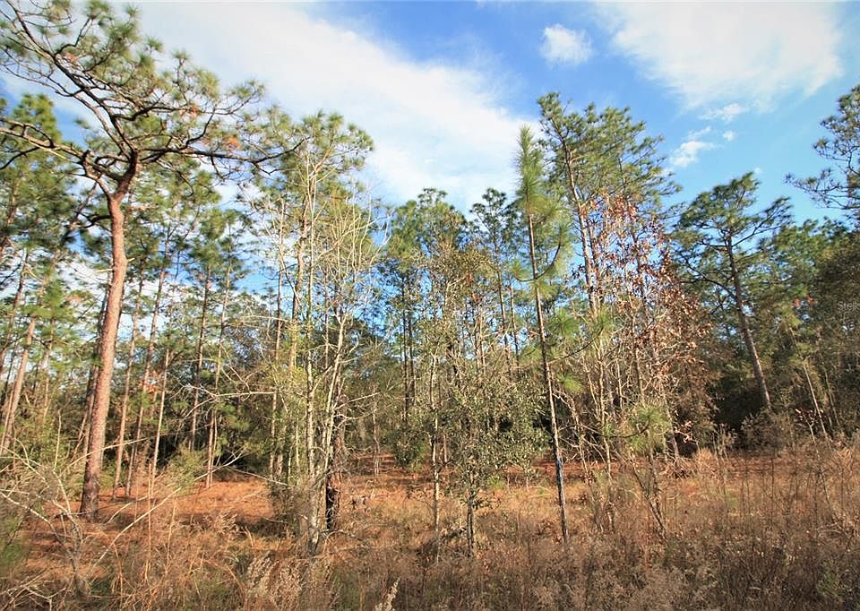 1st image of 10851 N FRANTZ AVENUE LOT 10 11