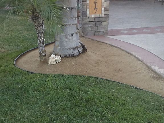 4th image of 15217 Holly Dr