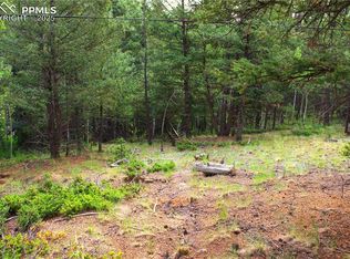 123 Ellis Lake Cir, Divide, CO 80814