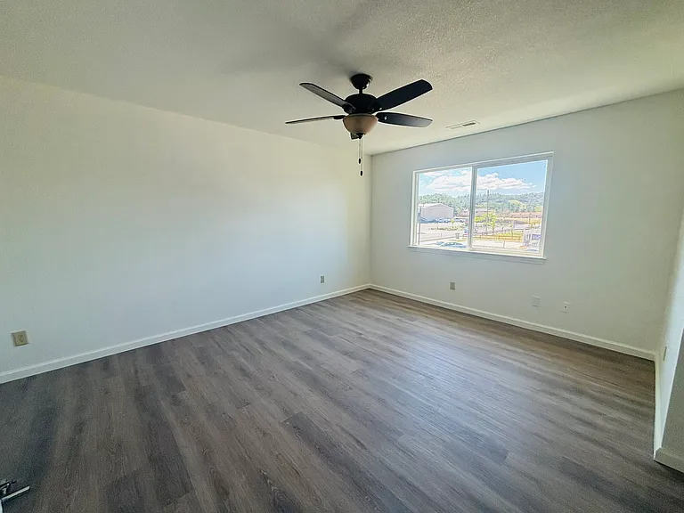 Live Oak Dr — Photo 12