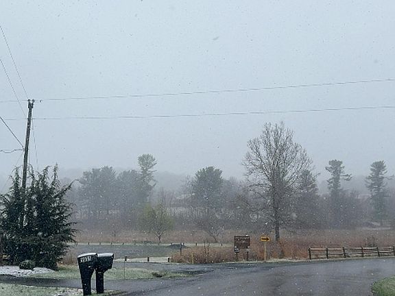 4th image of 1922 Massanetta Springs Rd