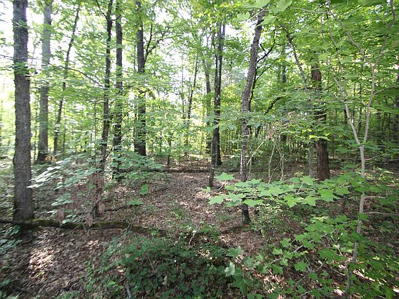 5th image of Lots 19 & 20 Pineview Dr