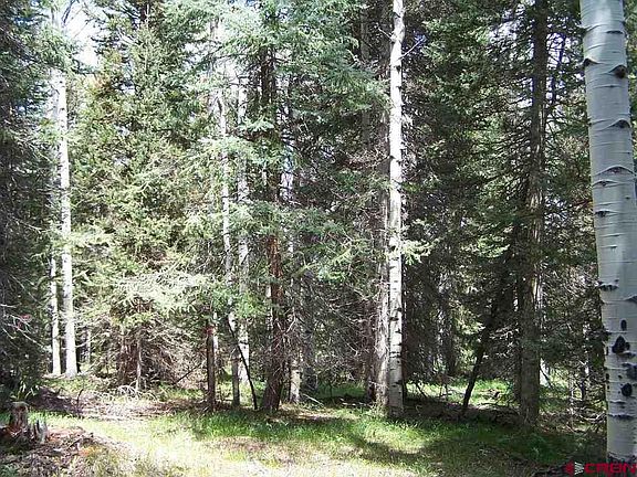 2nd image of 550 Snowshoe Lane