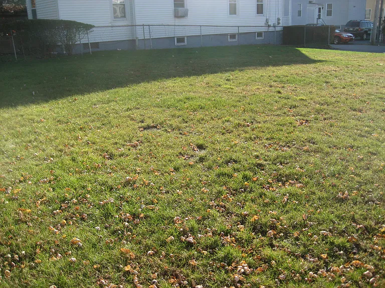 38 Bay View Ave #2 — Photo 19