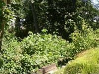 2nd image of 24405 Taree Blvd NE