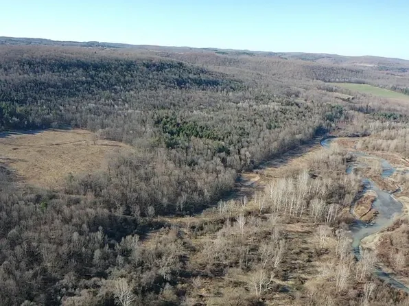 0 Tuckers Corners Rd, Friendship, NY 14739