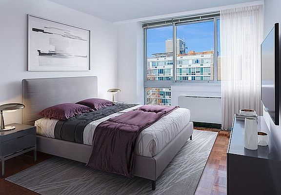 4th image of 229 Chrystie St Ph 20