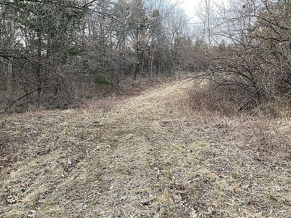 5th image of 19192 Walther Ln