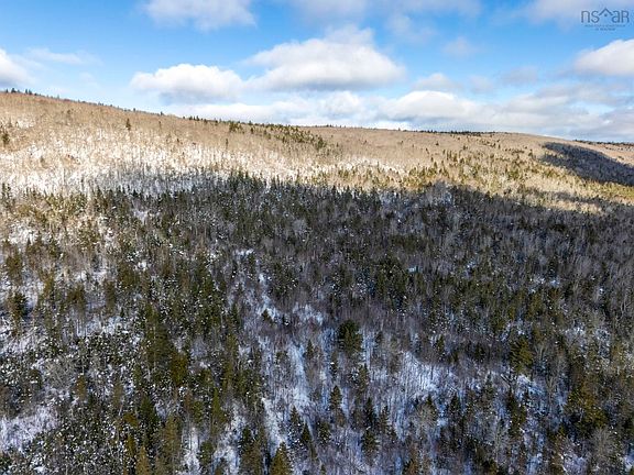 5th image of LOT McKenzie Mountain Rd