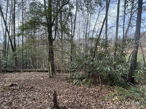 8 E Spring Wheel Dr, Old Fort, NC 28762