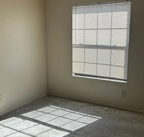 10337 Azuaga St #224 — Photo 9